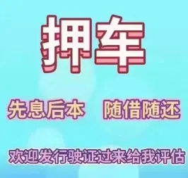 广州押车借钱公司